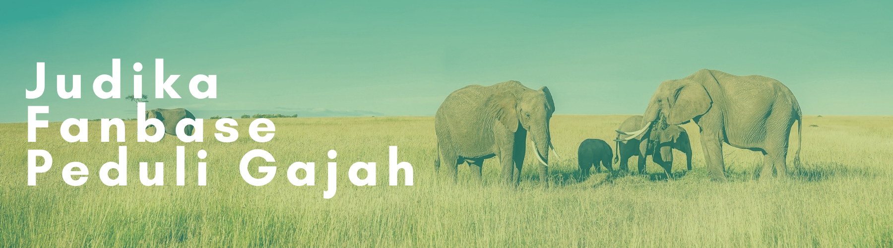 Judika Fanbase Peduli Gajah Program